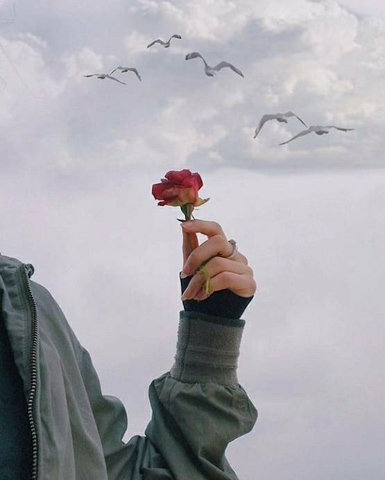 حَـــلا tweet media