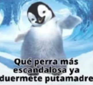 ESTEFANÍA 🇲🇽 💫 shale banda CD9 no volvió tweet media