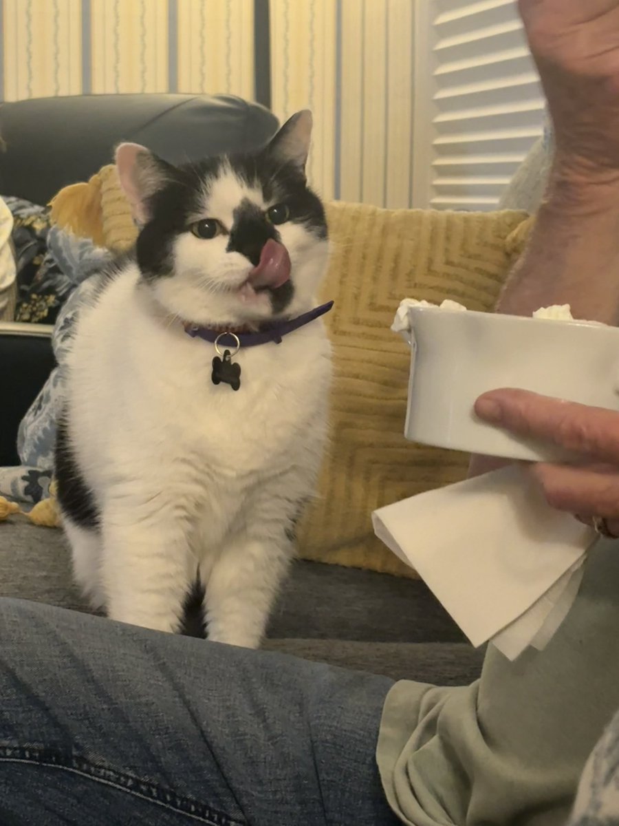 emily bengaltiger 🐱❤️🔥 tweet media