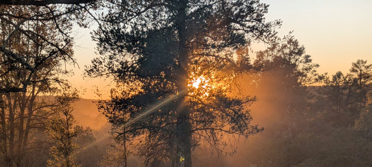 Megan4America tweet media