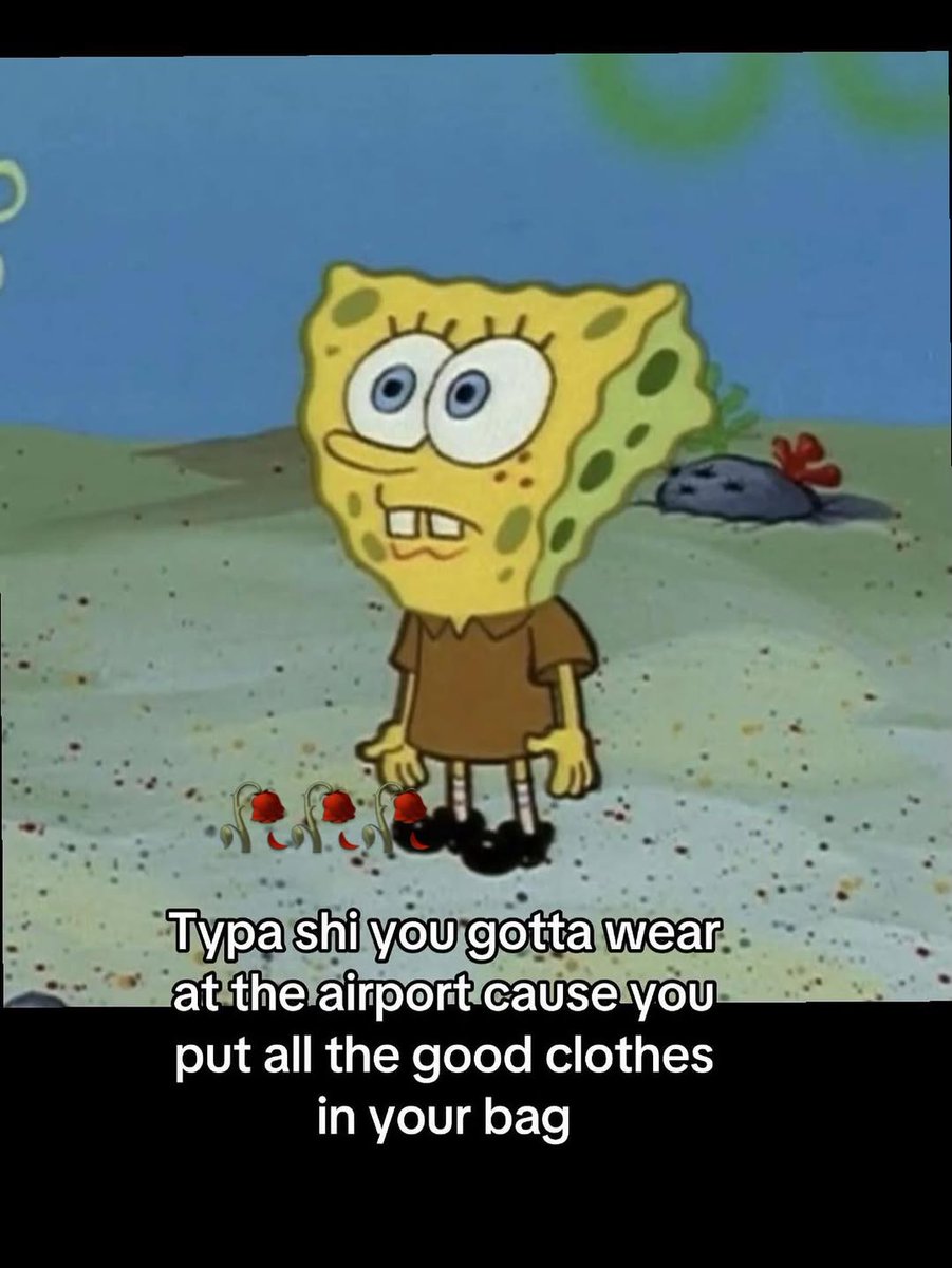 sponge.mp4 tweet media