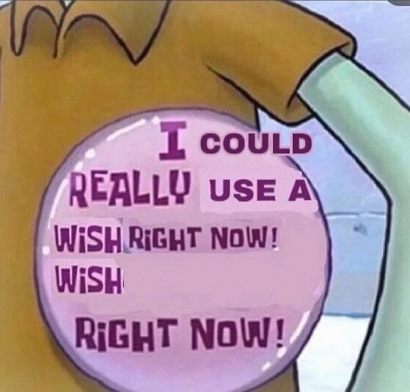 sponge.mp4 tweet media