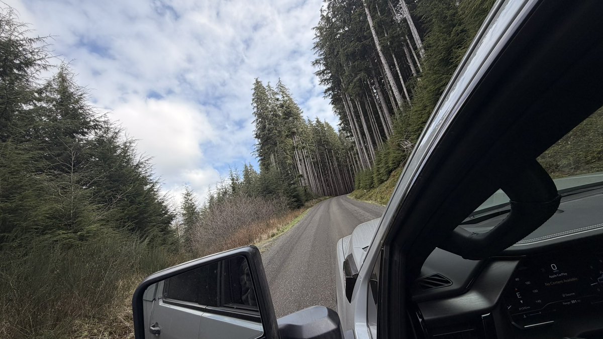 Faux Pas 🦊🐾 tweet media