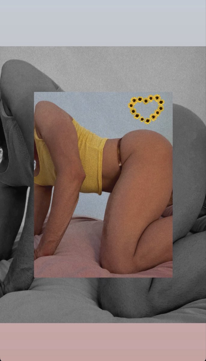 pipomont tweet media