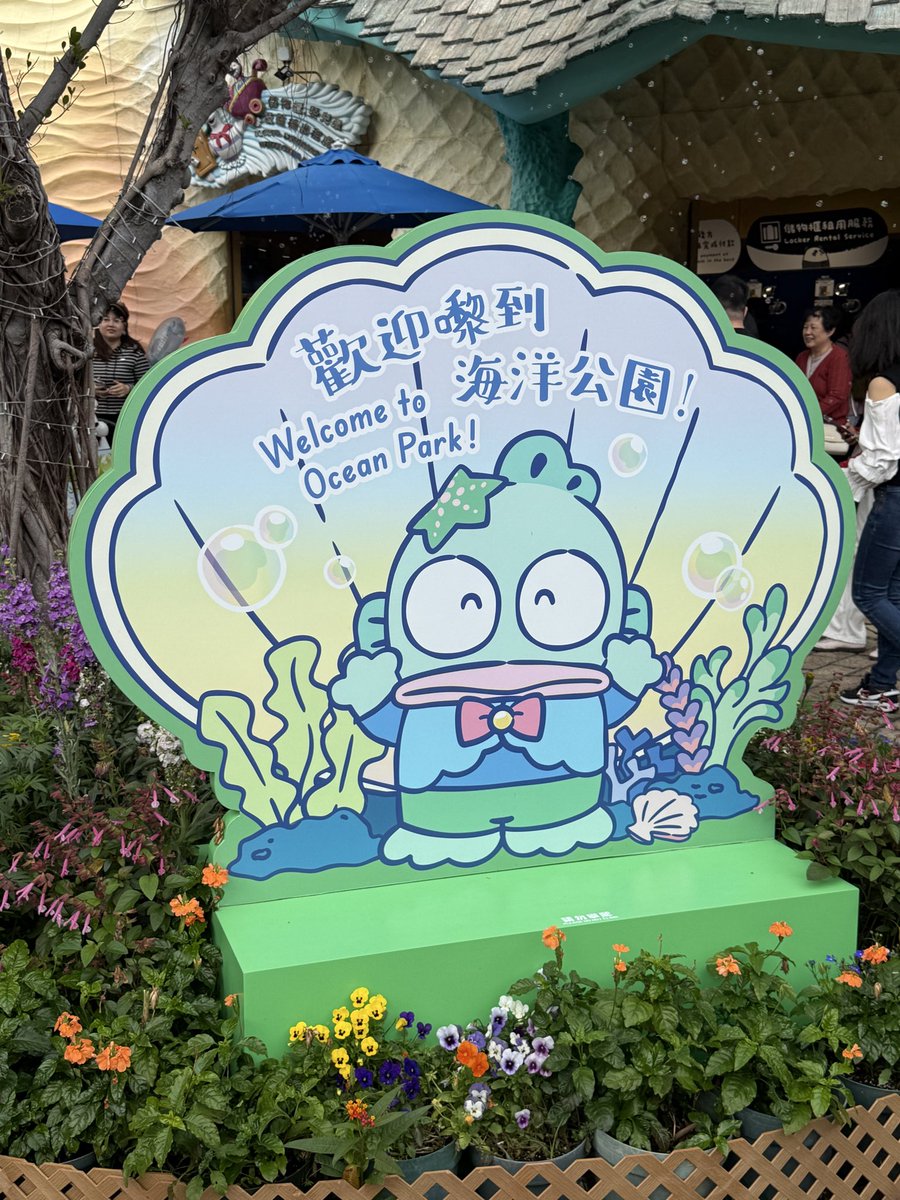 超级章鱼ほたる^🩵🍥 tweet media