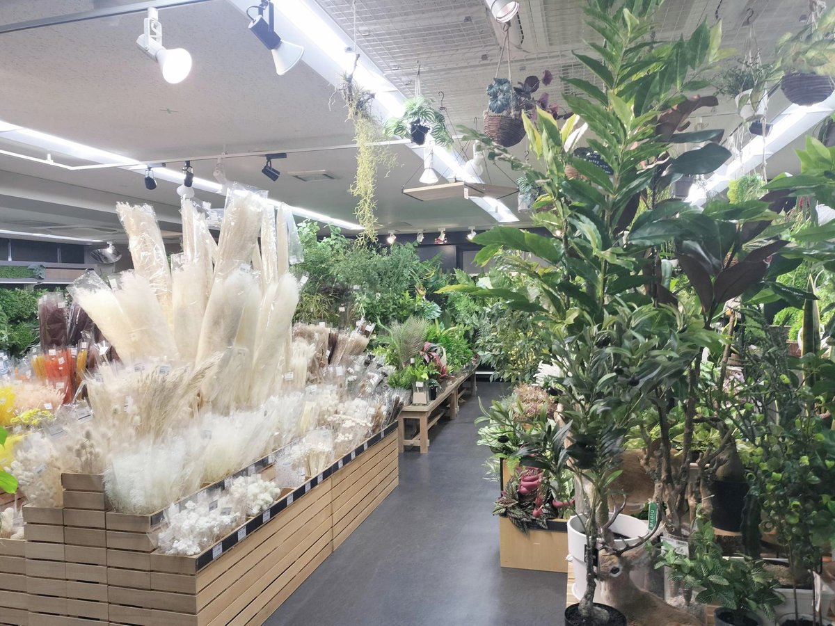 テラモト【公式】環境美化用品メーカー tweet media