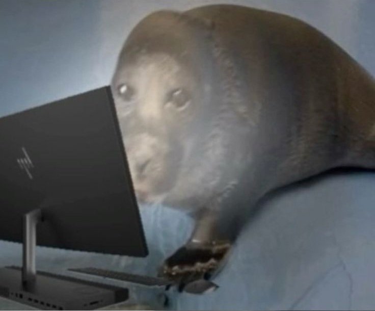 𝕯𝖊𝖓𝖟𝖊𝖗𝖁𝖆𝖑𝖉𝖊𝖅 tweet media