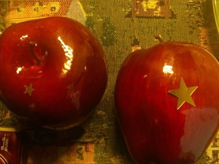 Nala 🦊 tweet media