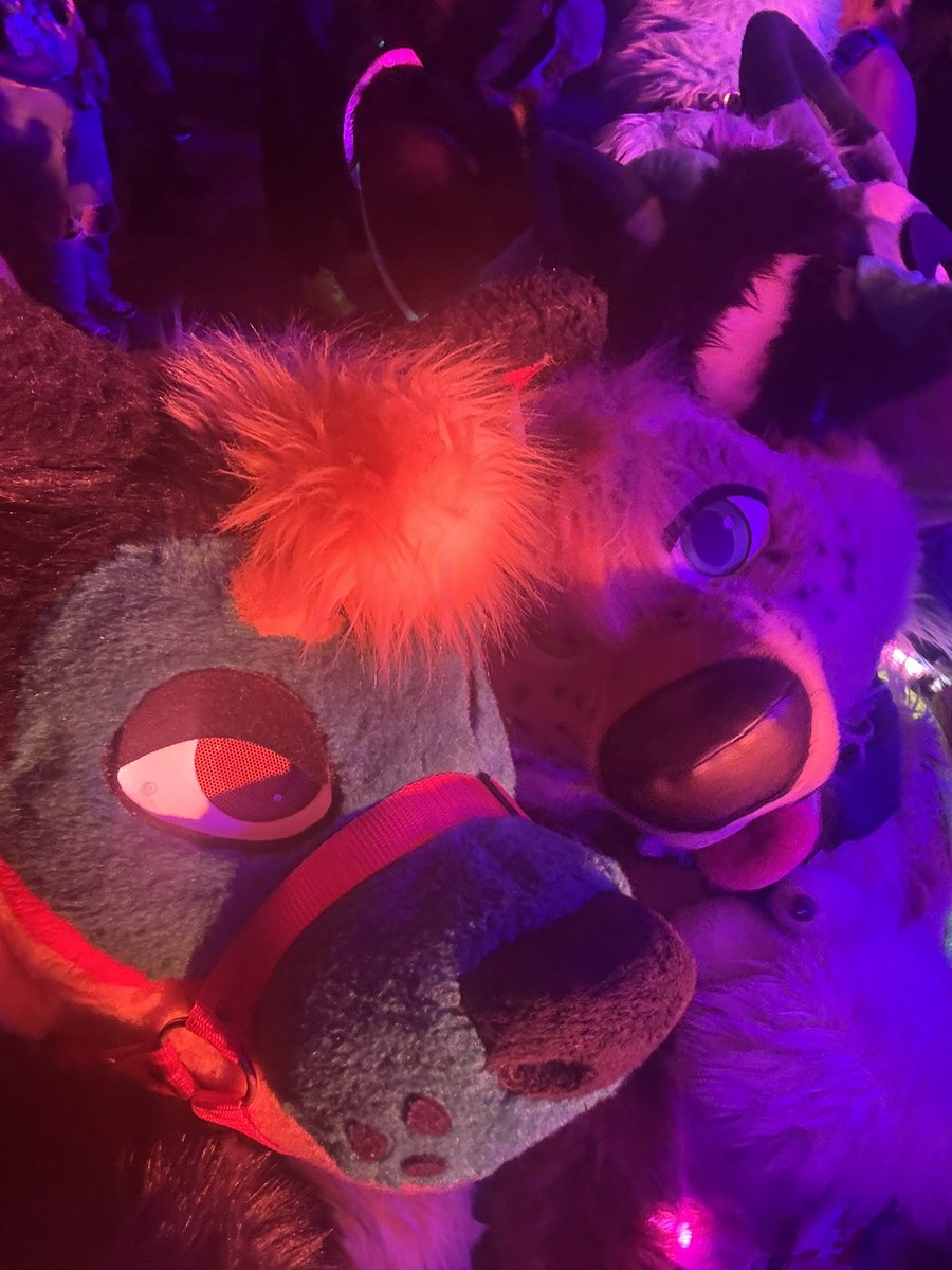 Kyr0TW's tweet photo. I had such an amazing time at Furnal Equinox this year. Getting my full suit and finally wearing it was an absolute blast 🥰

But what truly made the weekend special was sharing it with my friends—I cherish you all more than anything. Thank you for being in my life ❤️ https://t.co/wwe2n4m2aP