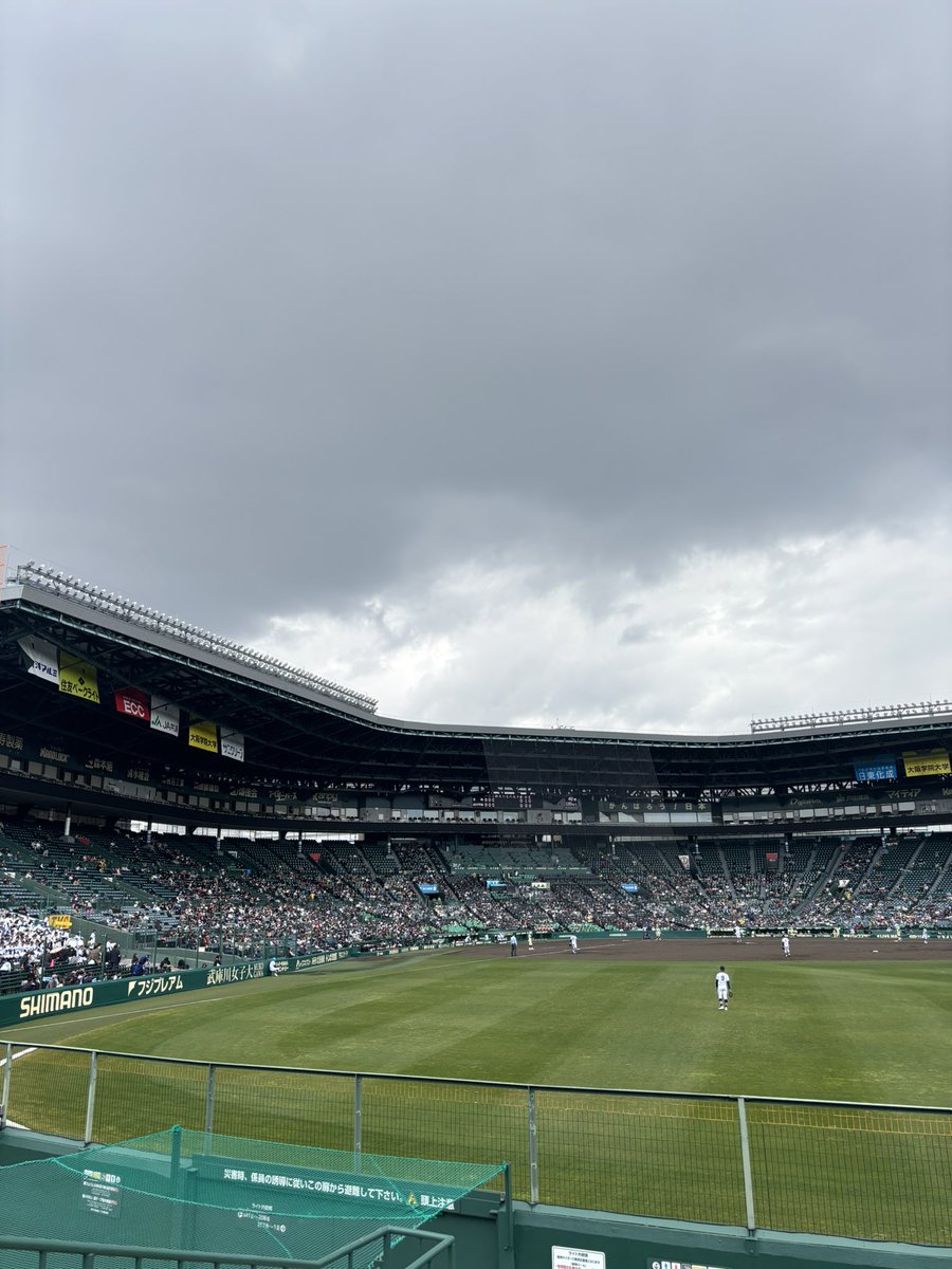 一般的女子社員 tweet media