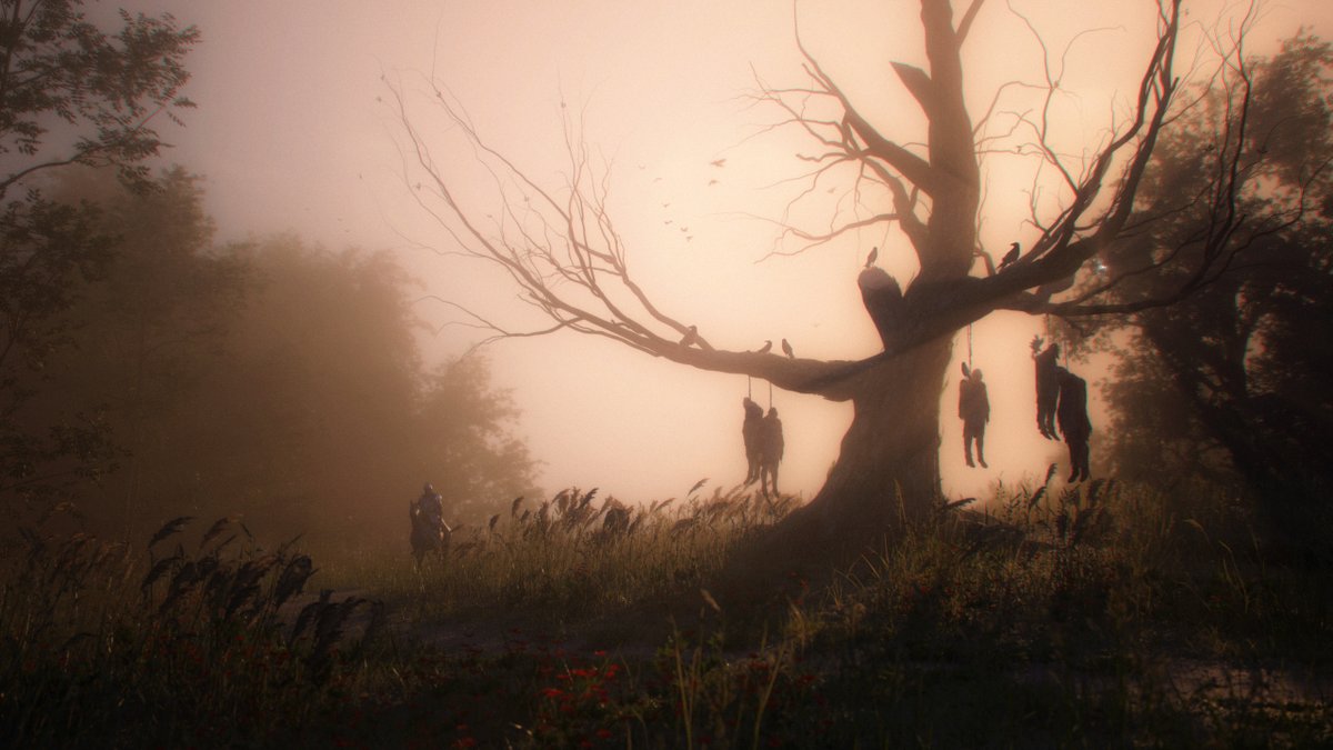 Jonathon Gregory Bick 🦑 tweet media