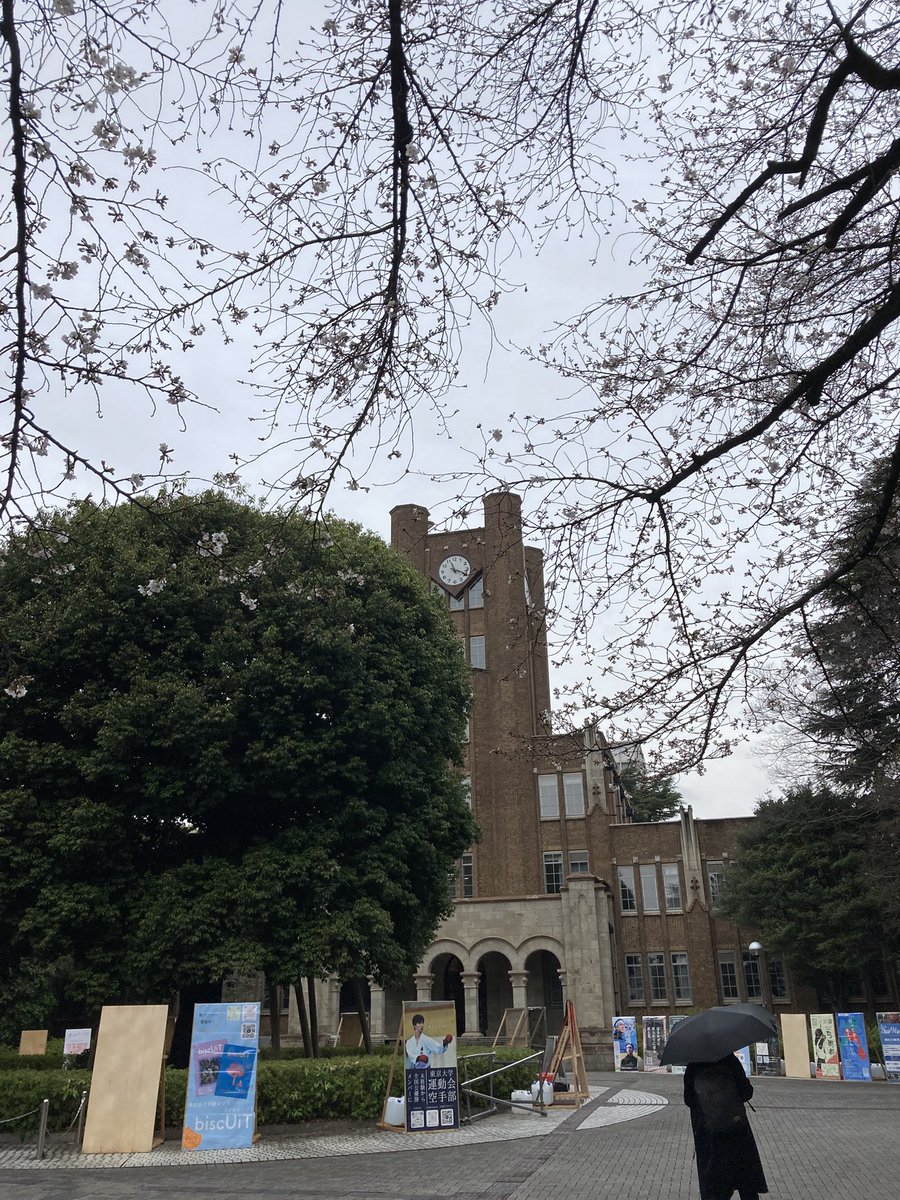 Kashima Takashi tweet media