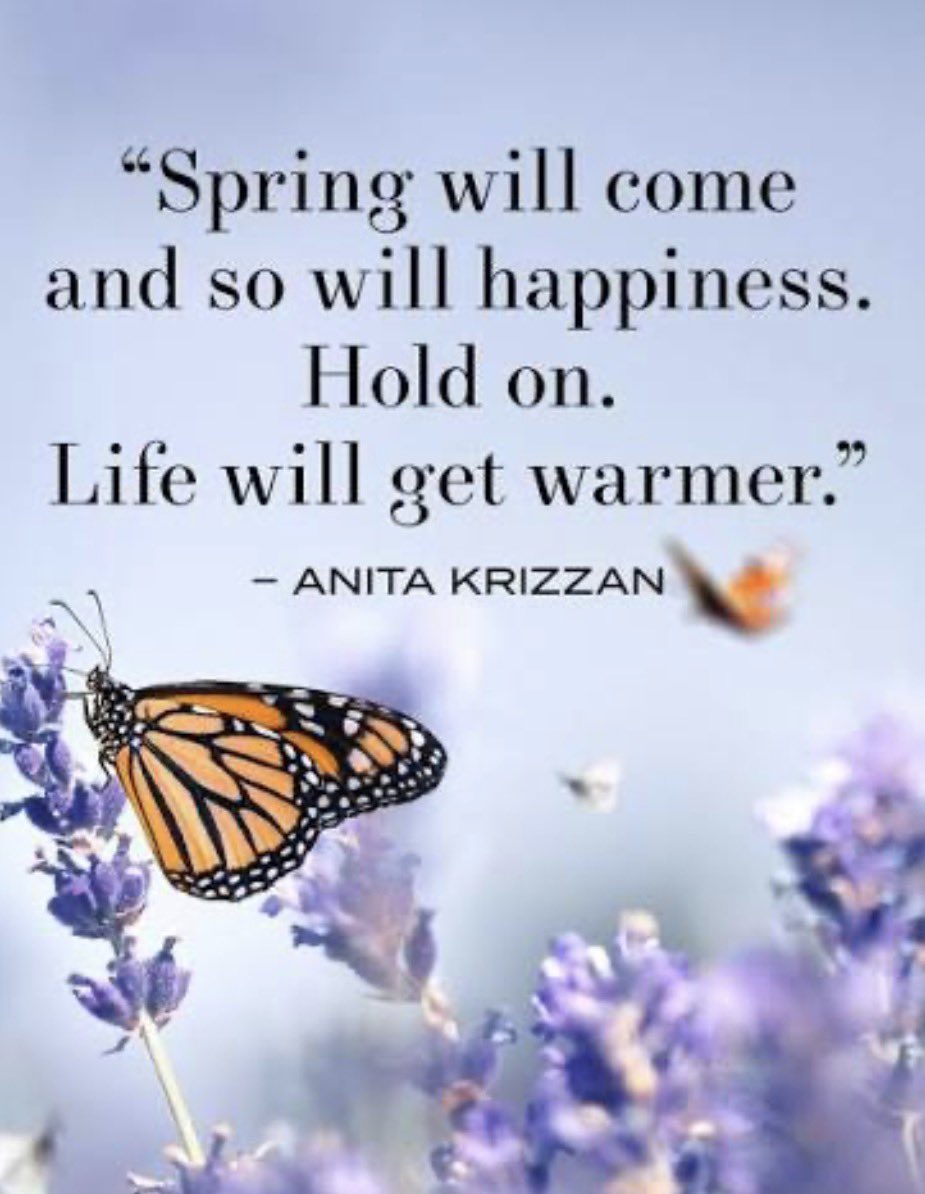 Michelle Mulgrove tweet media