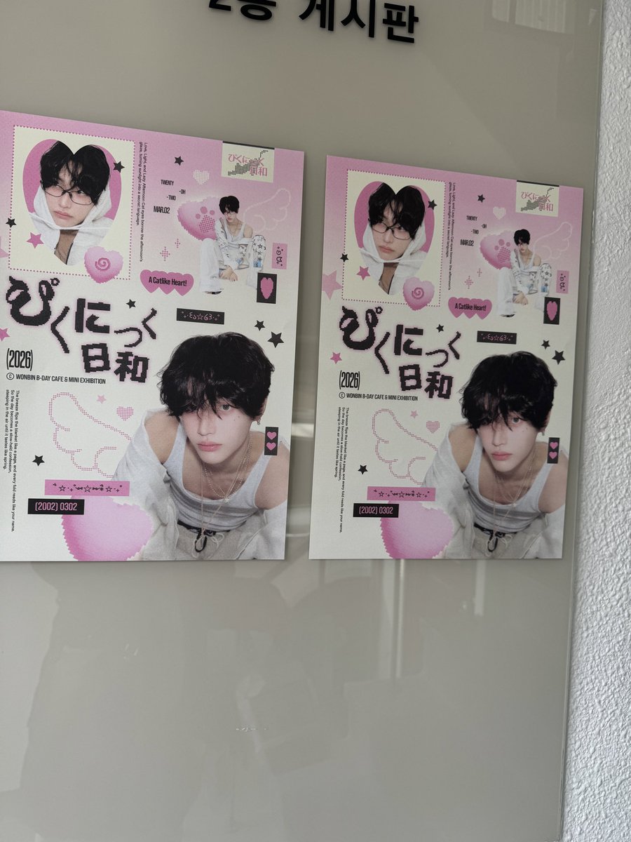 うさにゃん ♡ tweet media