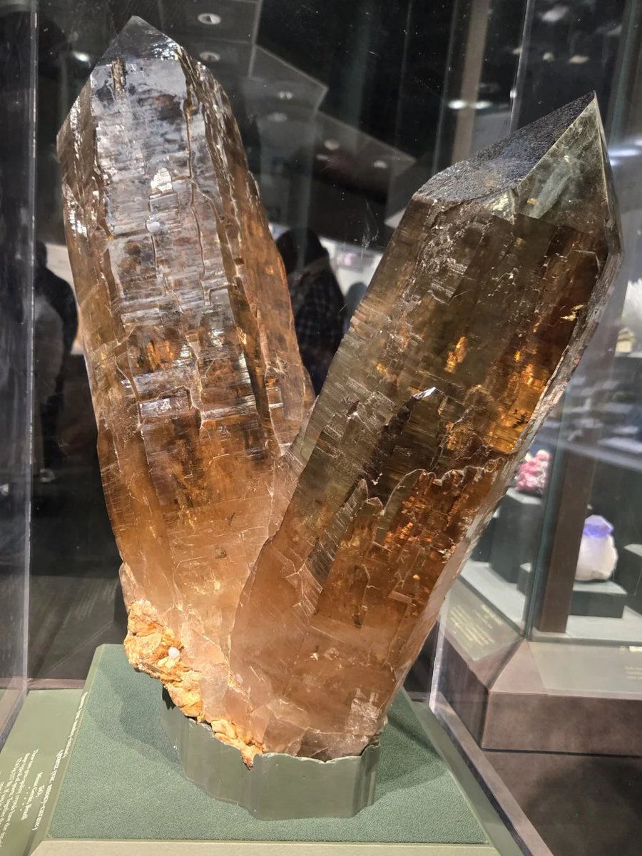 Endnimistrator2026 tweet media