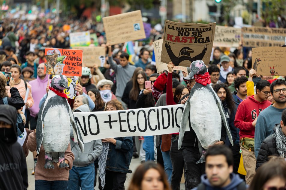 Día Mundial del Agua: Marcha medioambiental protestó contra medidas del Gobierno #Cooperativa90 tinyurl.com/yh4989u4