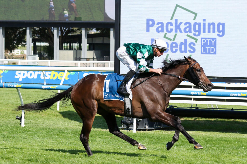 TrackEdgeRacing's tweet photo. Weighted Certainty #treasurethemoment https://t.co/Iomwc9VI0M