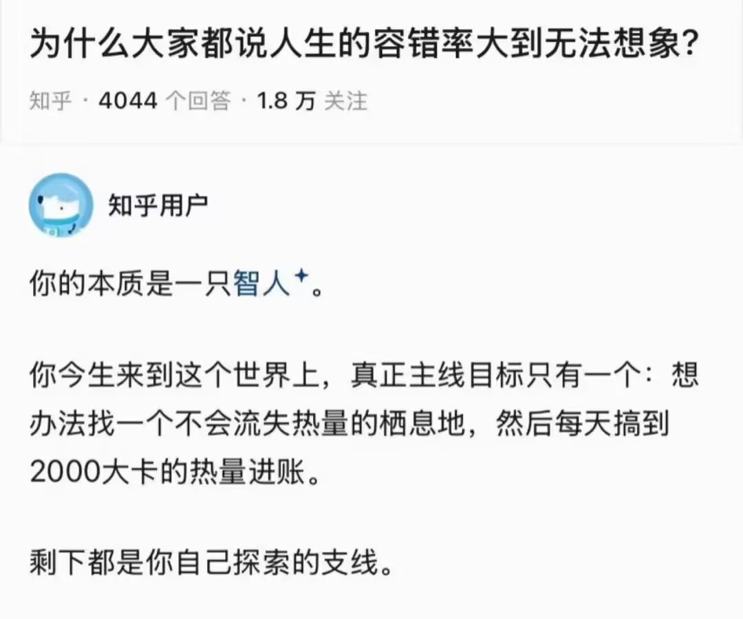 雲鳩 tweet media