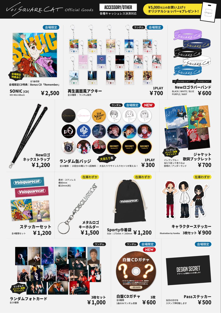 VOI SQUARE CAT tweet media