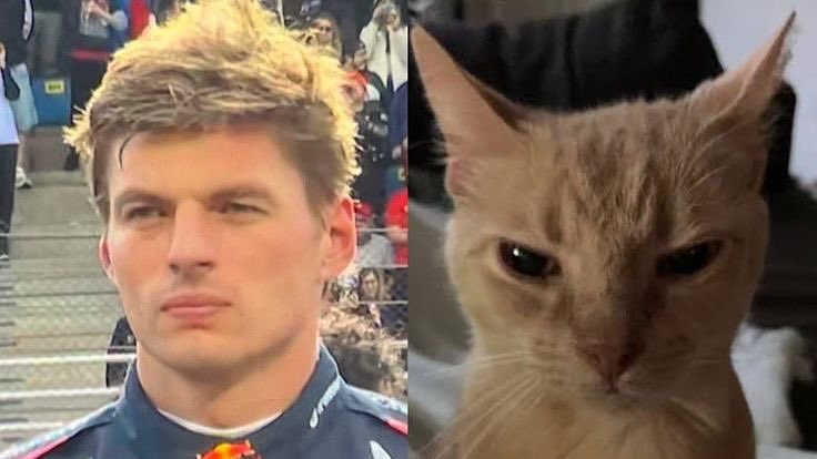 ash³ | アッシュ tweet media