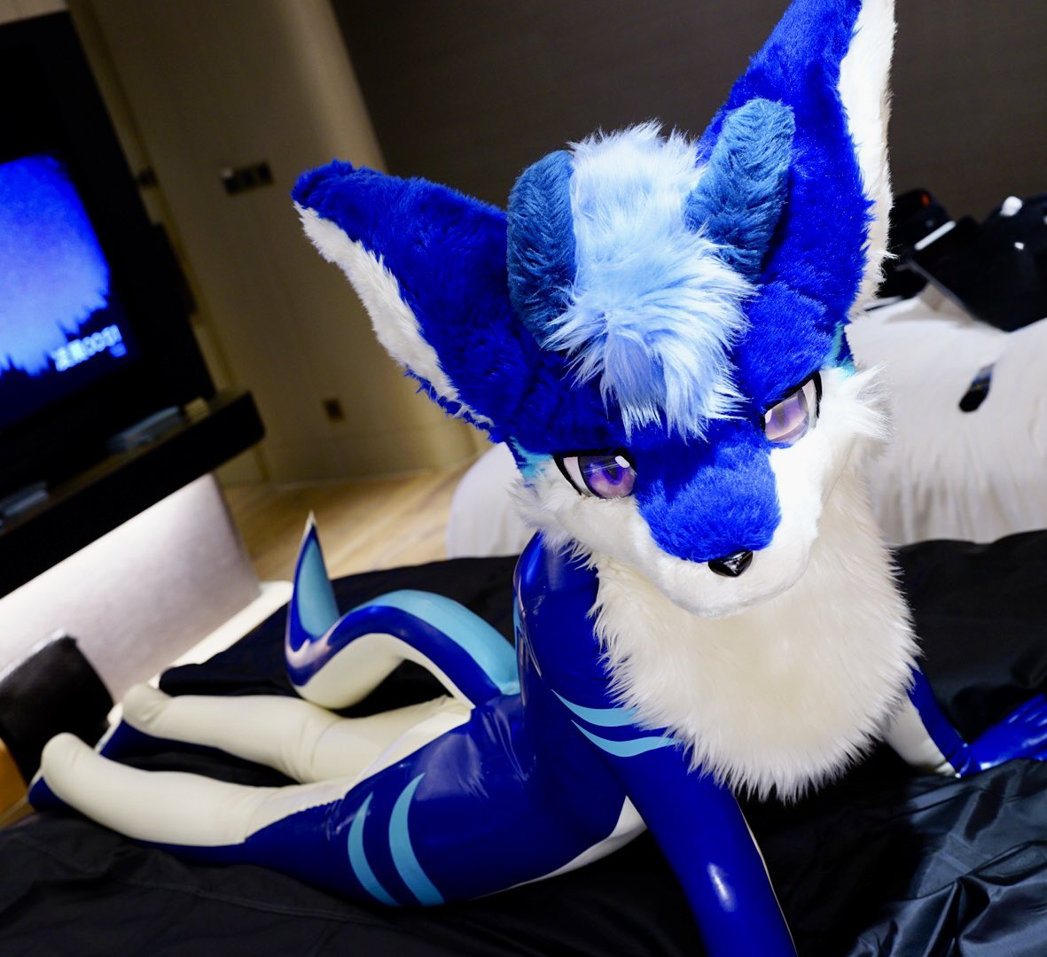 BATA 🔜 tweet media