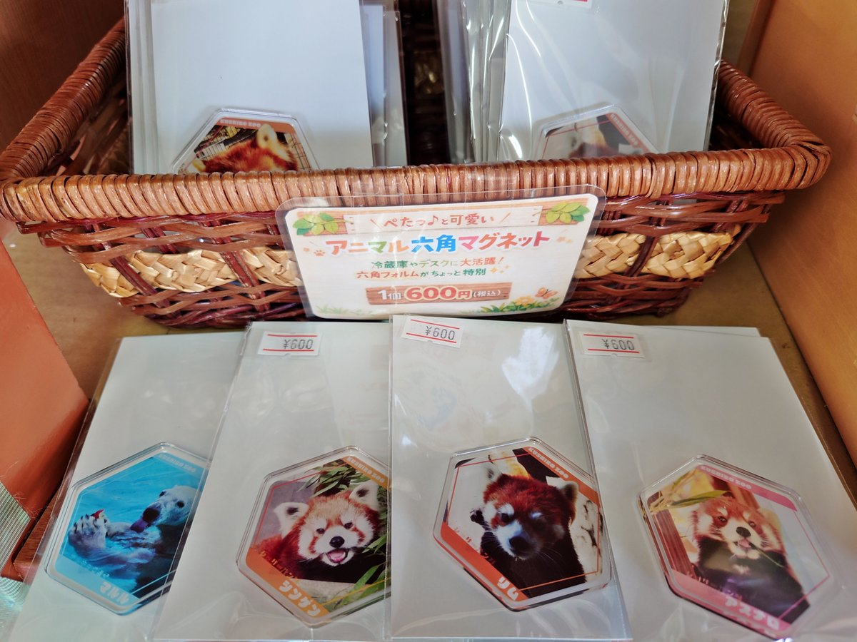 ☆こさる☆ tweet media