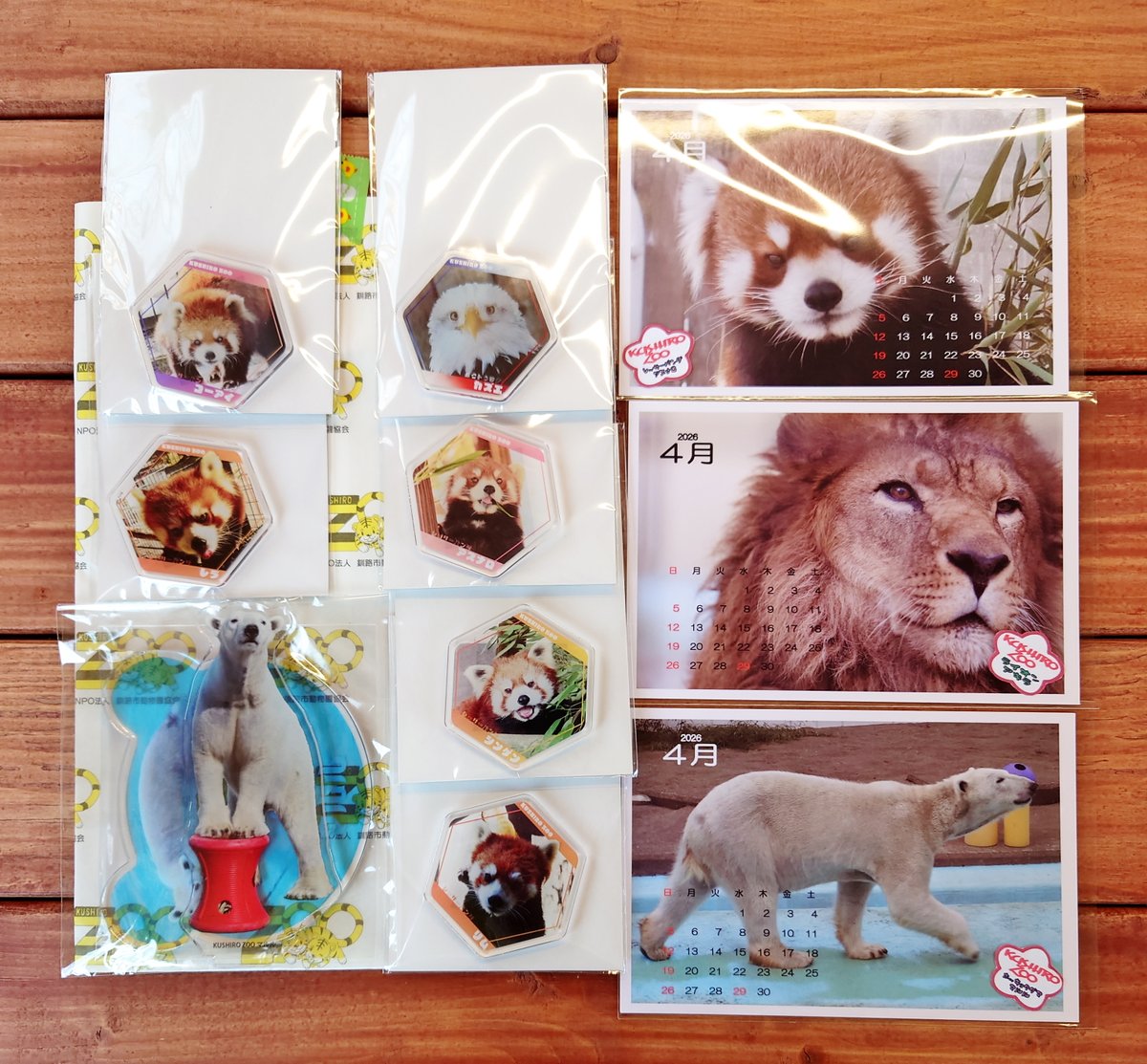 ☆こさる☆ tweet media