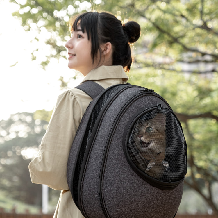 CTJ_KK's tweet photo. 🌸 まると春のおでかけ EP.1「窓の向こうのPink」

窓の外の桜、毎年眺めるだけだった。
「近くで見たら、どんな匂いするんだろ…」

今年はEggyがあるから、一緒に行けるよ🥚🐾

※AIにより生成された内容のため、実際の状況と異なる場合がございます。
詳細は、あらかじめ商品ページをご確認ください。

#Eggy #ペットキャリー #猫キャリー #猫漫画 #桜 #お花見 #猫との暮らし #春 #4コマ漫画 #catcarrier