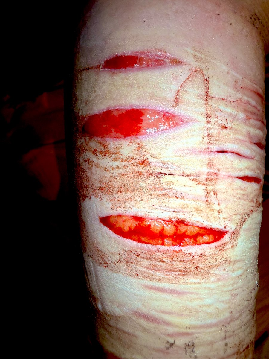 ✧ ⦻ Mori .ᐟ #shedtwt tweet media