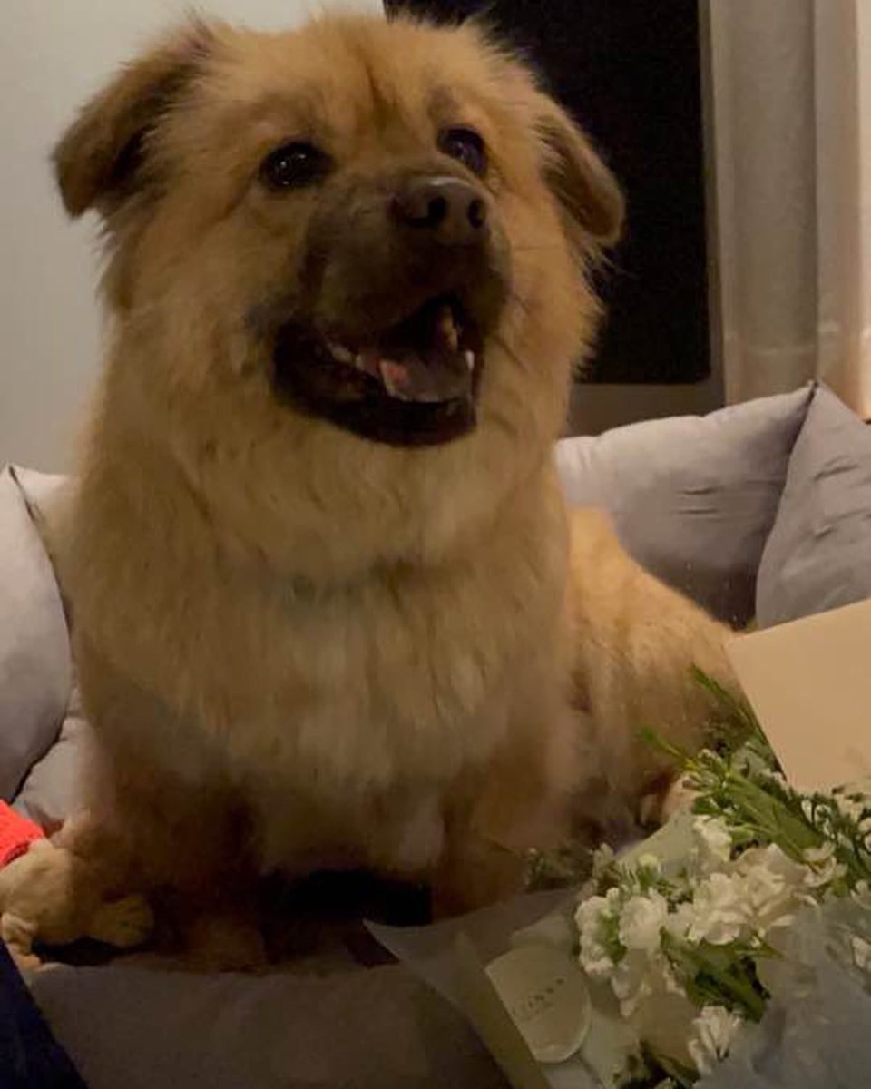 우댕댕 tweet media