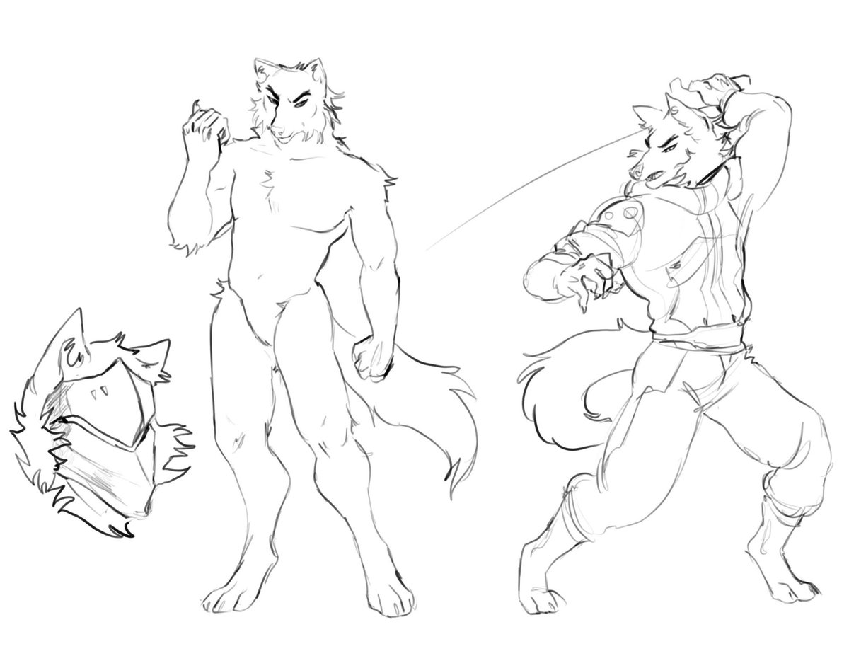 Udon ! ♡⸝⸝ 🐬 tweet media