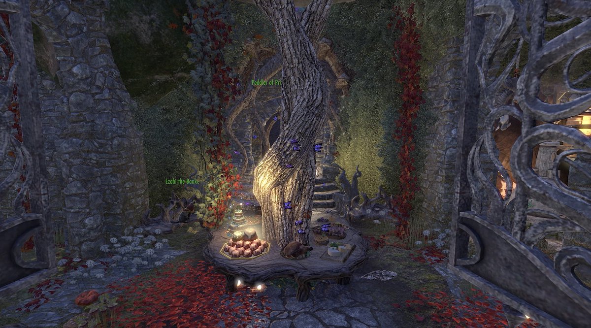 SurvivorDescended tweet media