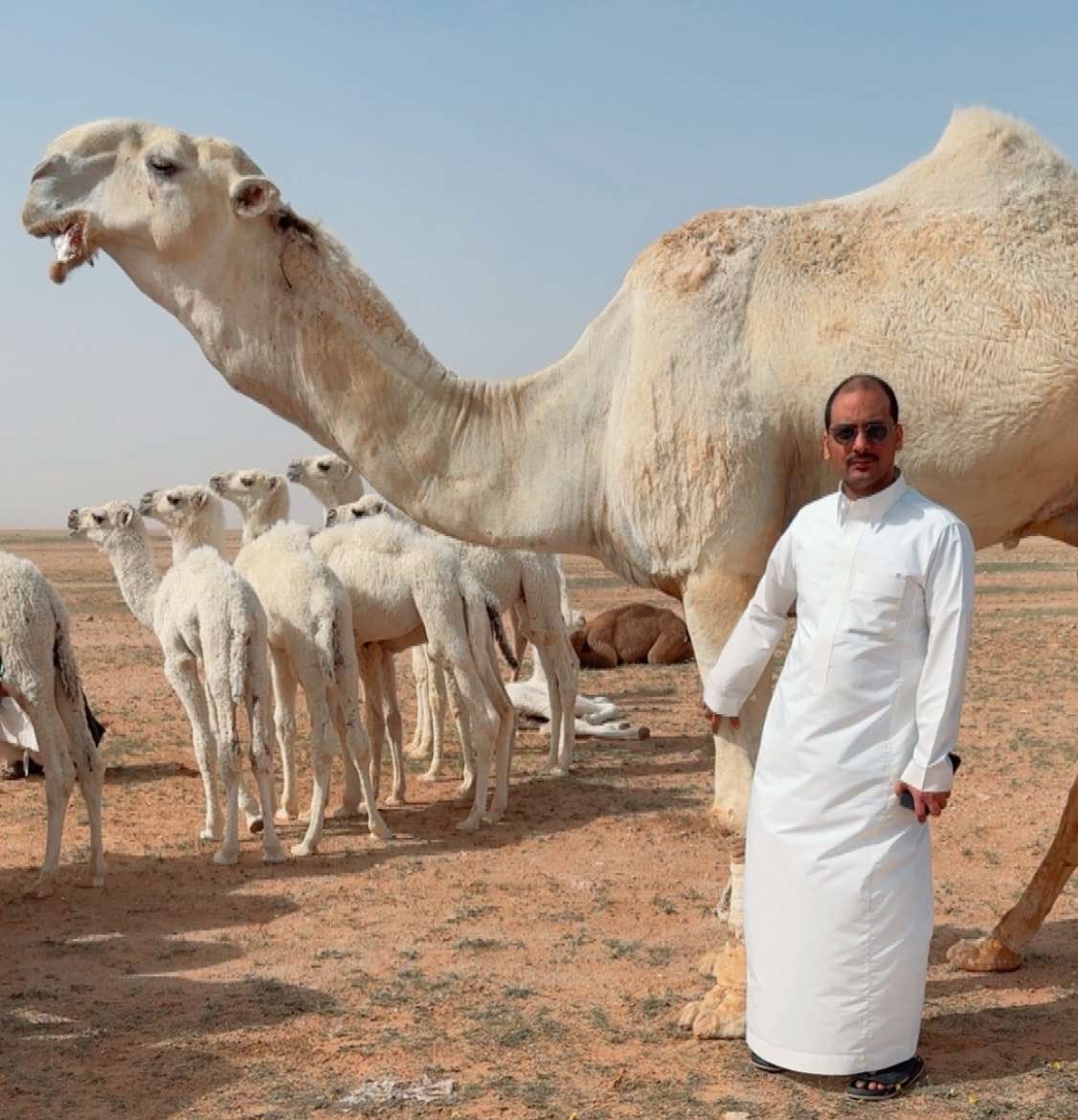 علي المورقي tweet media