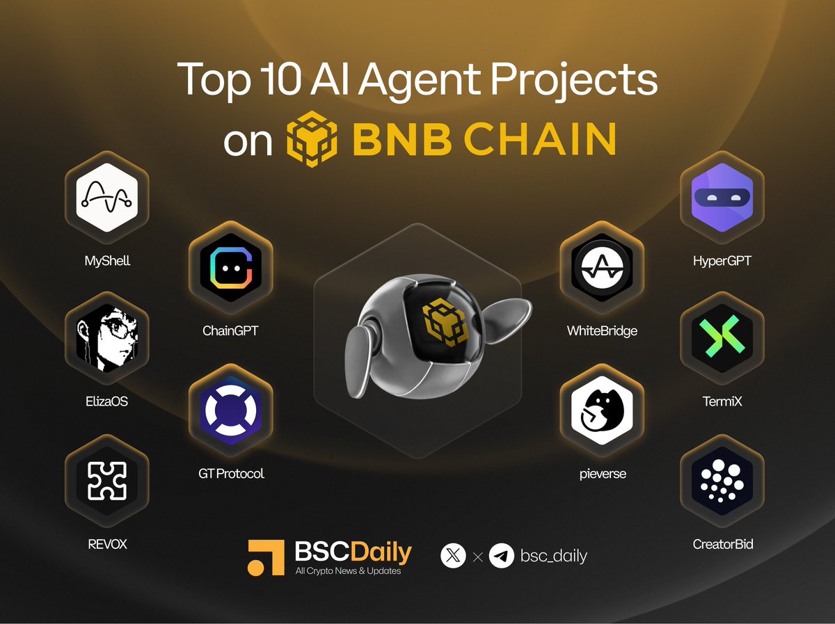 BSCDaily tweet media