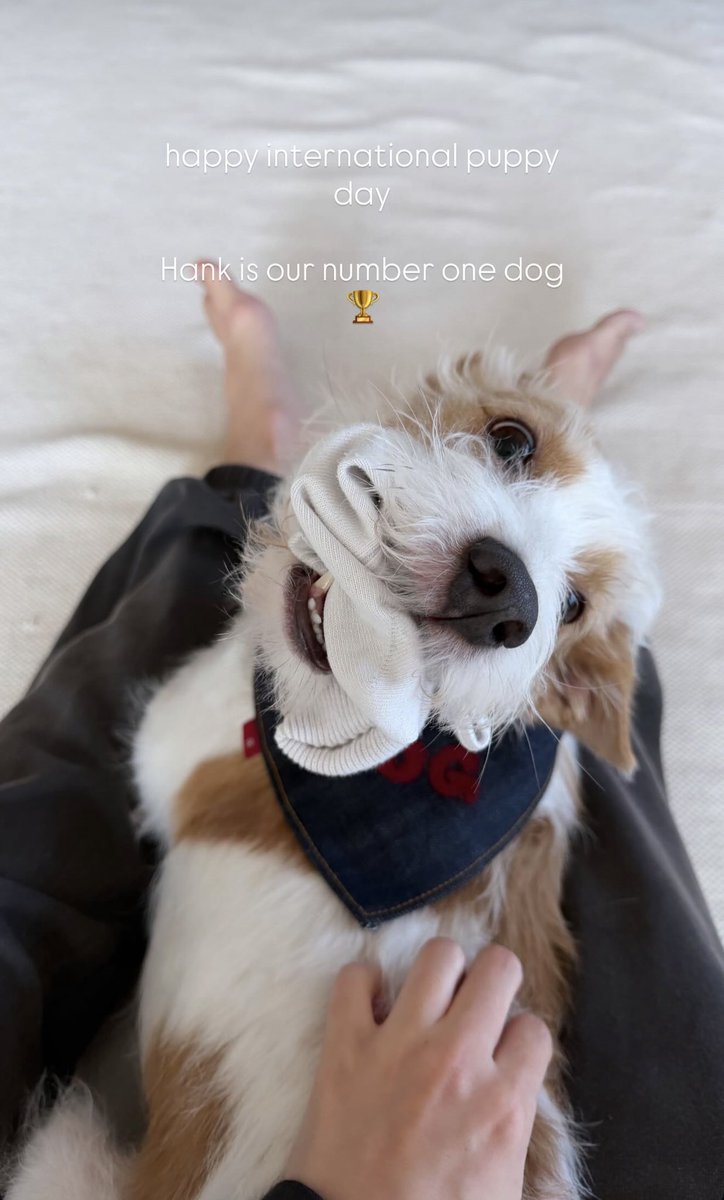 ROSÉ FOCUSED¹ tweet media