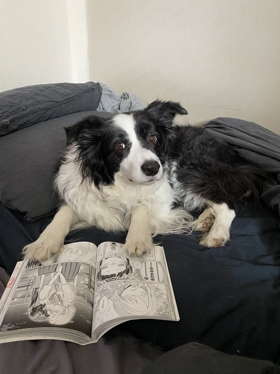 Vulkuvier 🌸🥐🐏🔱🎪🌿 tweet media