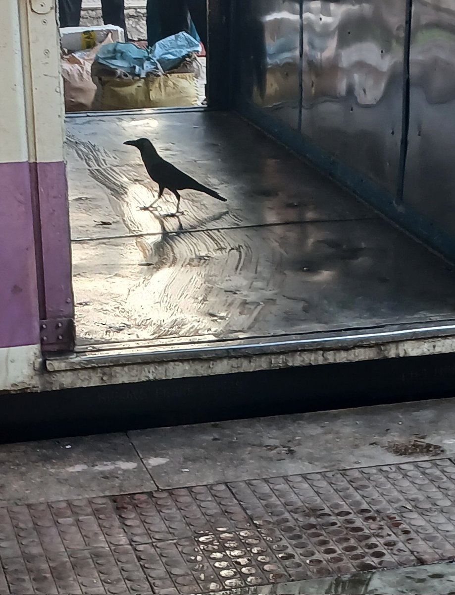 Darsh Patel tweet media