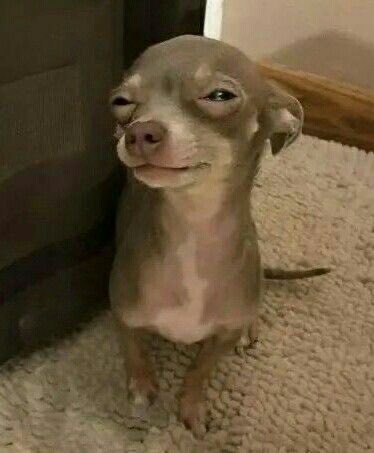 𝓮𝓵𝓵𝓮𓆩♡𓆪 tweet media