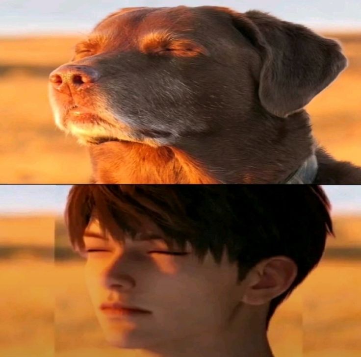 lauren 𓆩✧𓆪 starcrow 🌸🌟 tweet media