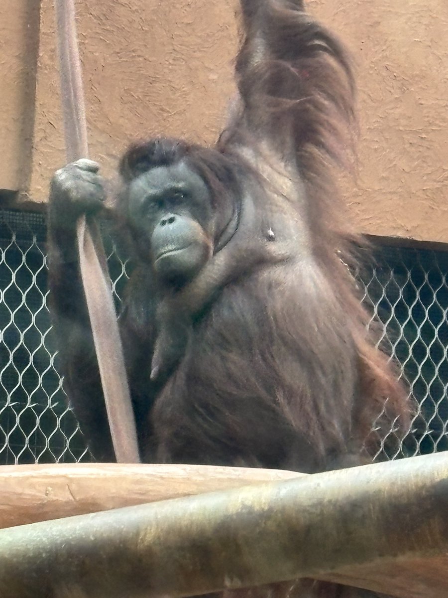 柿野タネ tweet media