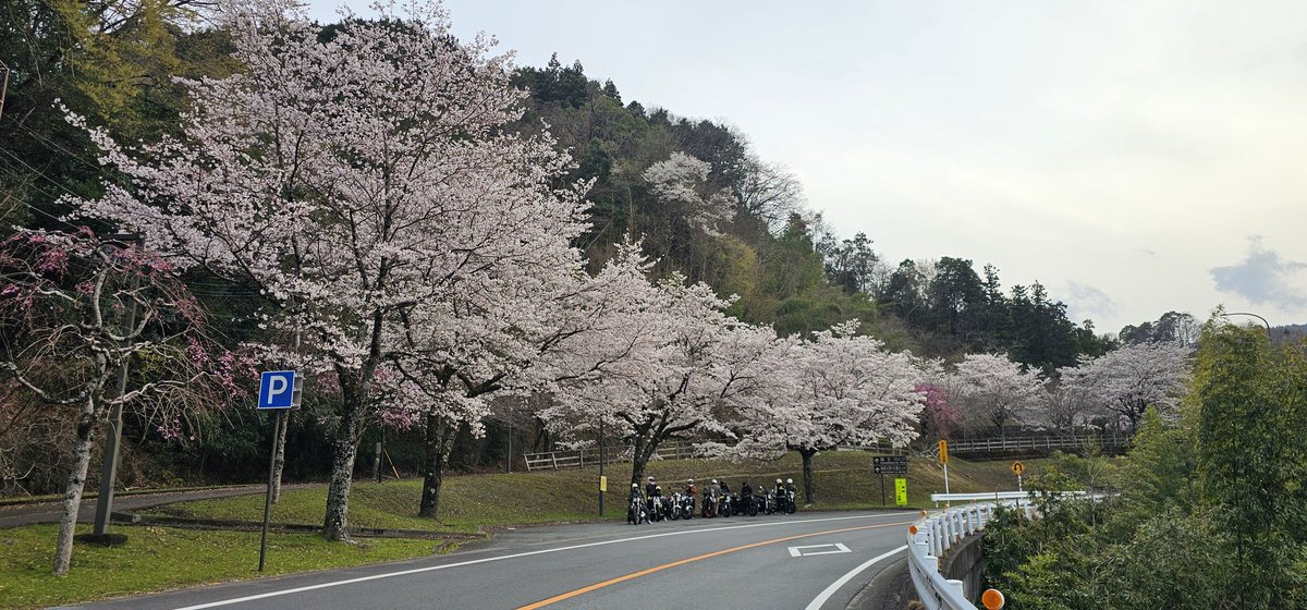 十国さん(十国峠原付MT主宰)のつぶやき tweet media