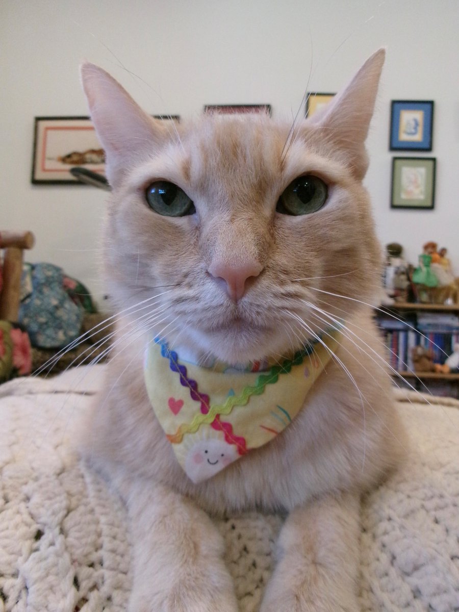 Travis Ford tweet media