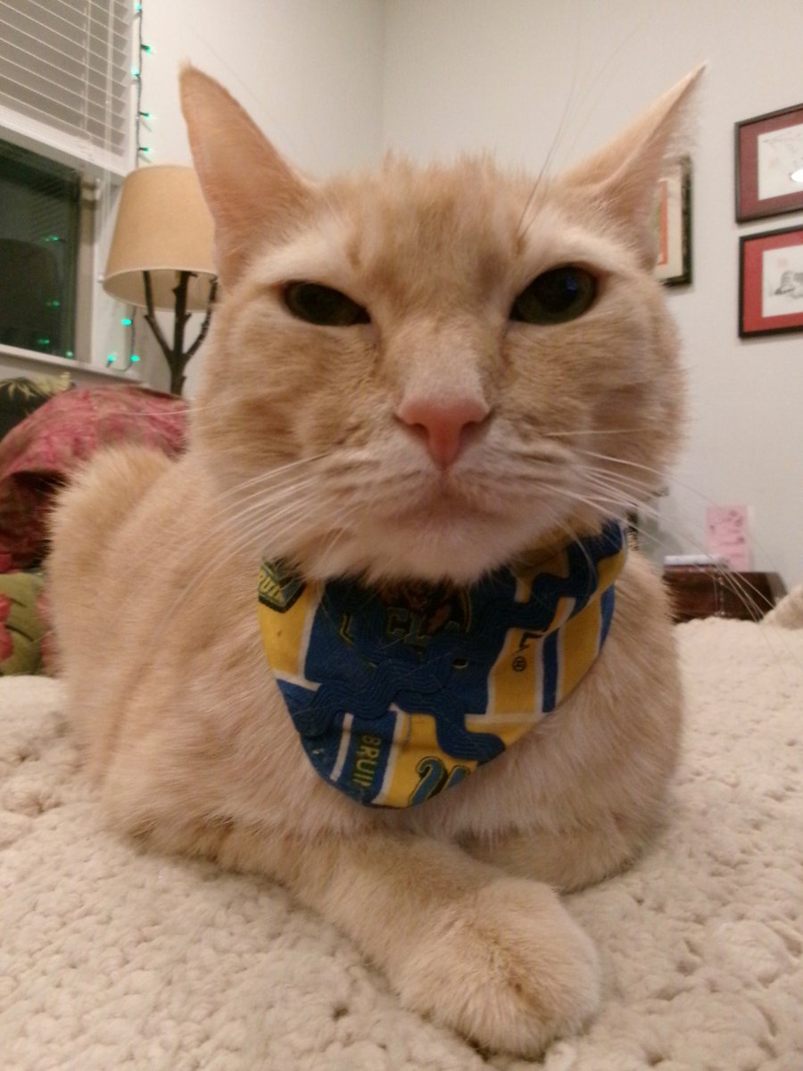 Travis Ford tweet media