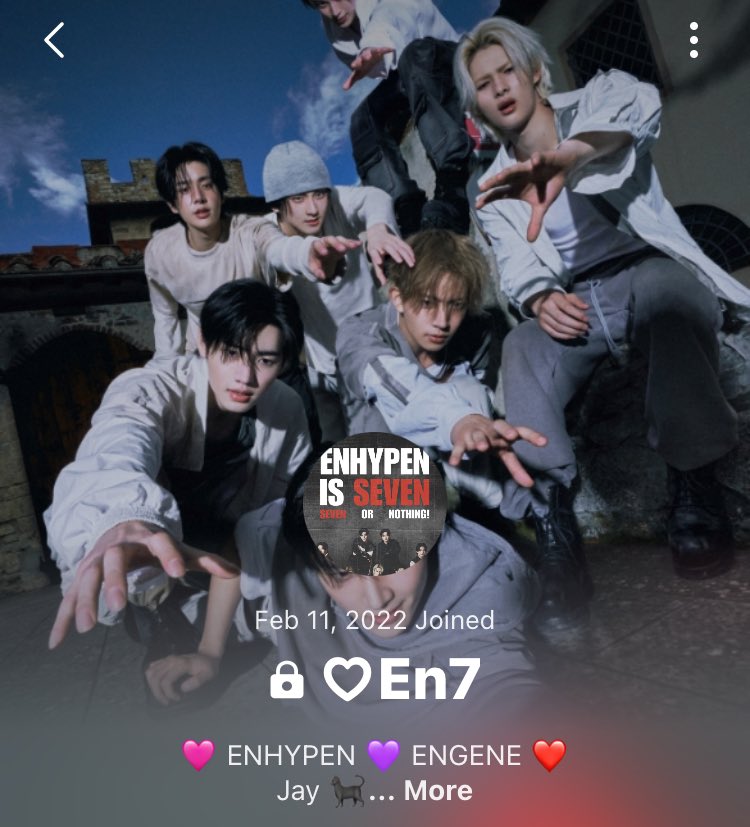 Iris 🐈‍⬛ Enhypen is 7 tweet media