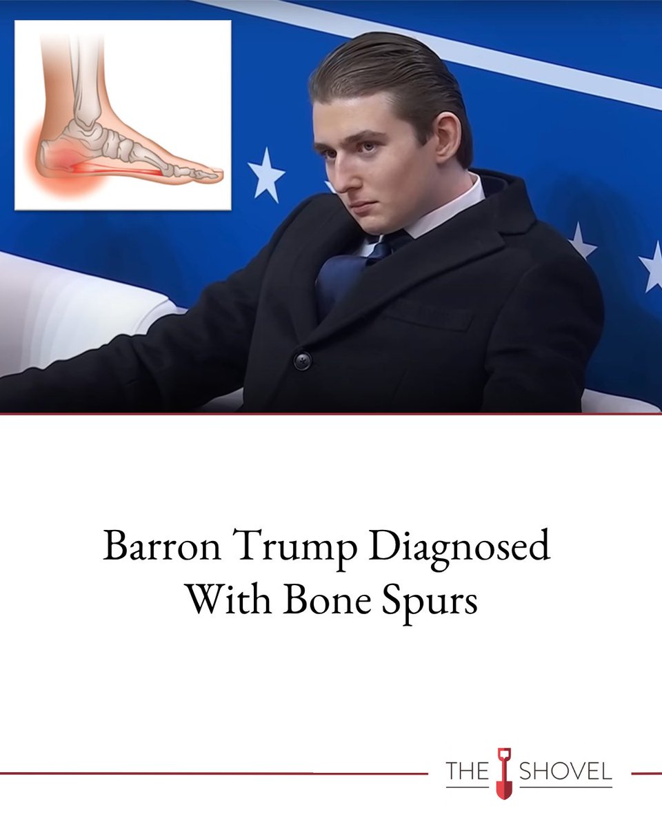 The Shovel tweet media