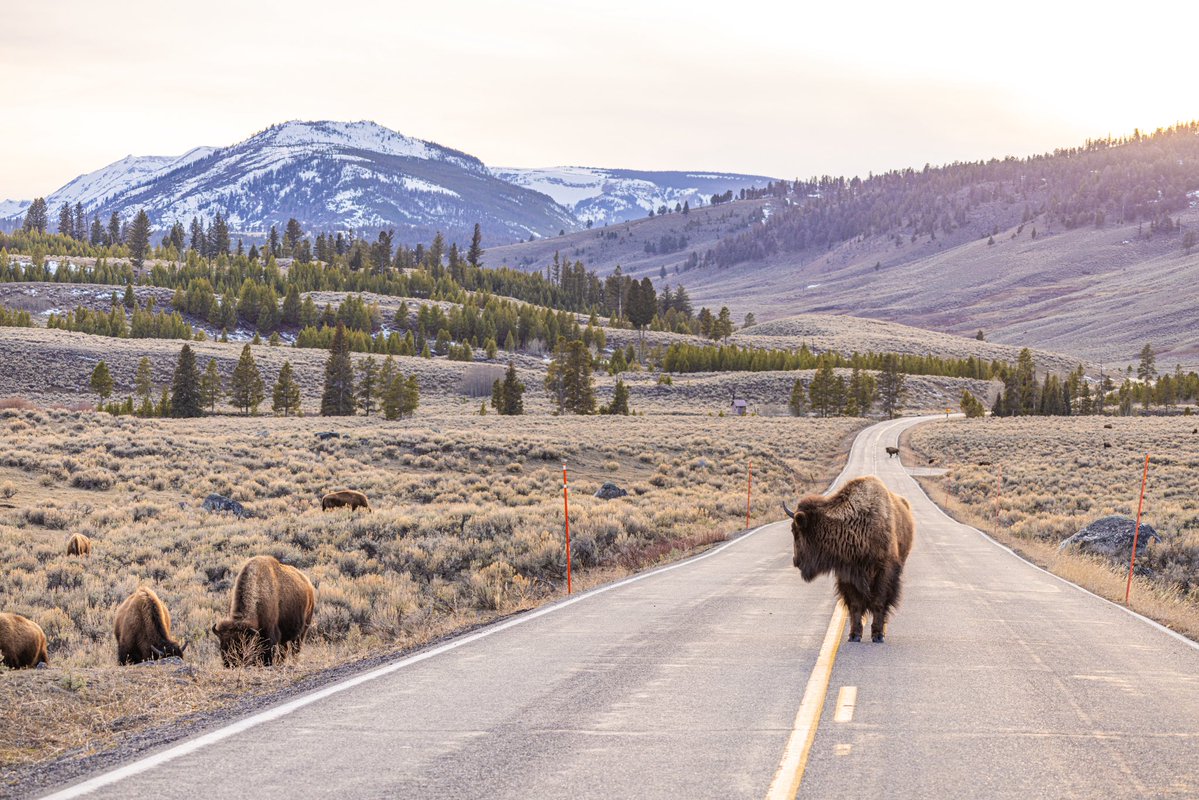 Rachel Callahan tweet media