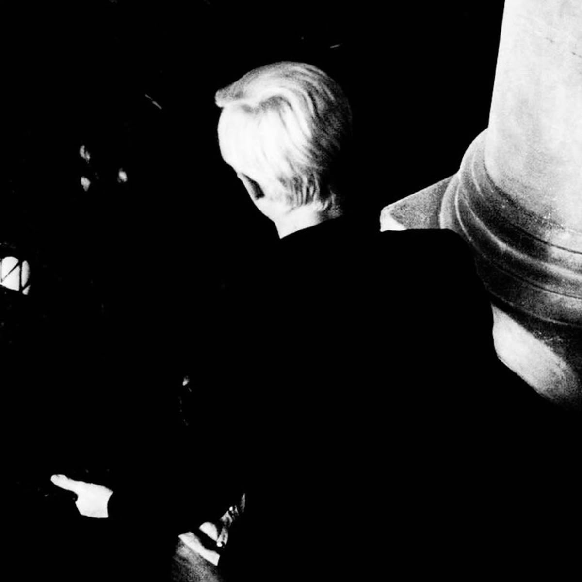 draco tweet media