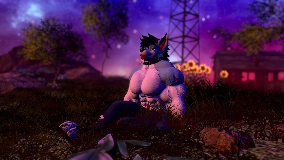 NeoWolfboy tweet media