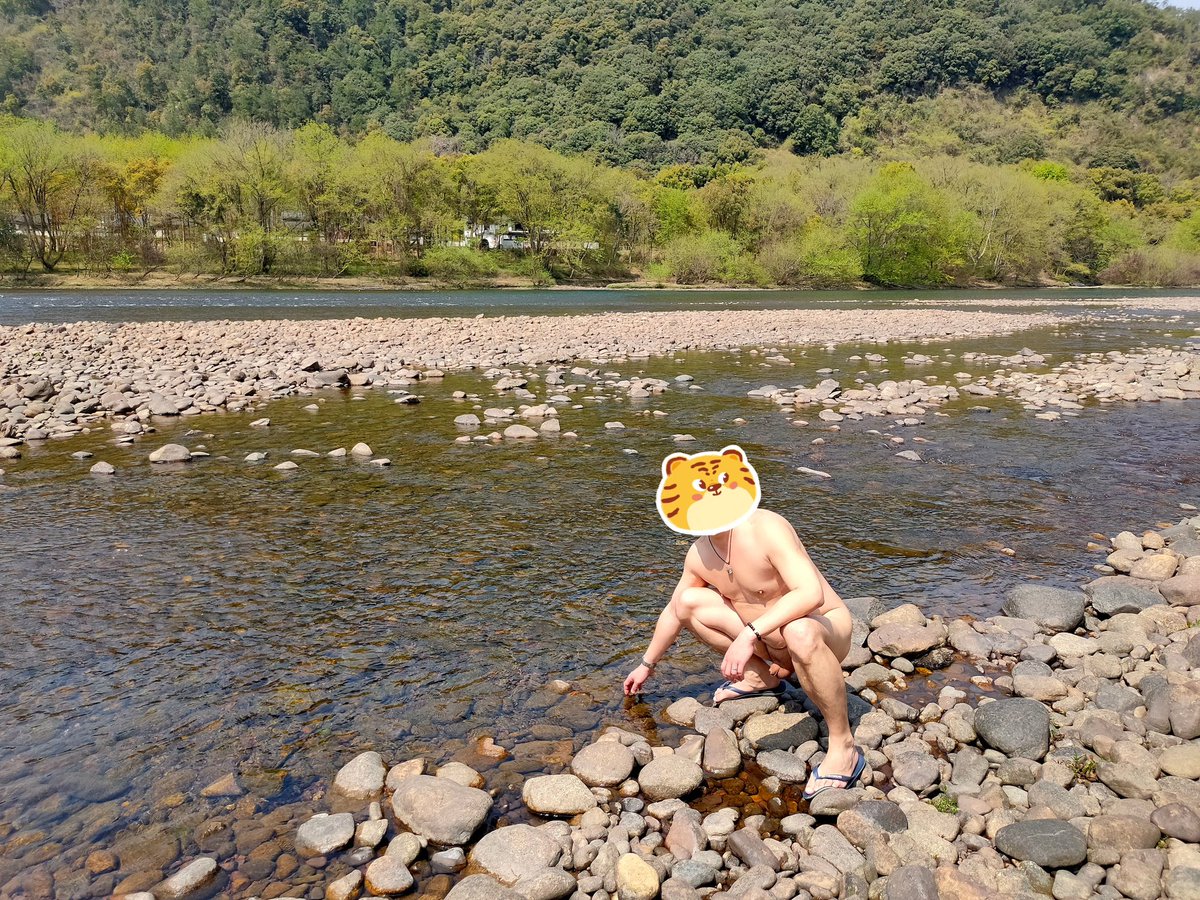 变熊的德鲁伊 tweet media