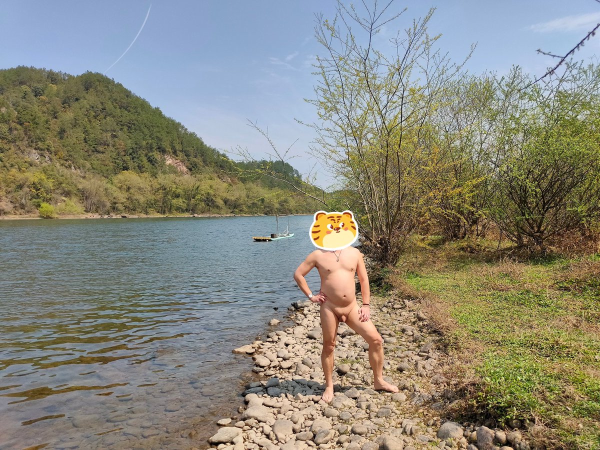 变熊的德鲁伊 tweet media